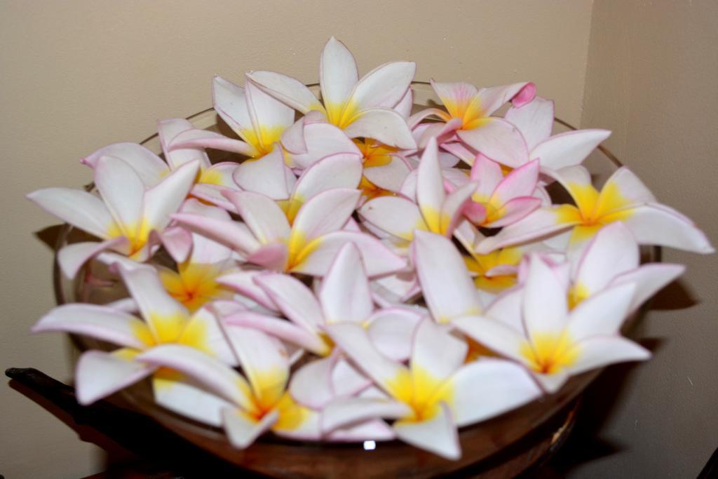 ماليه Skai Lodge المظهر الخارجي الصورة